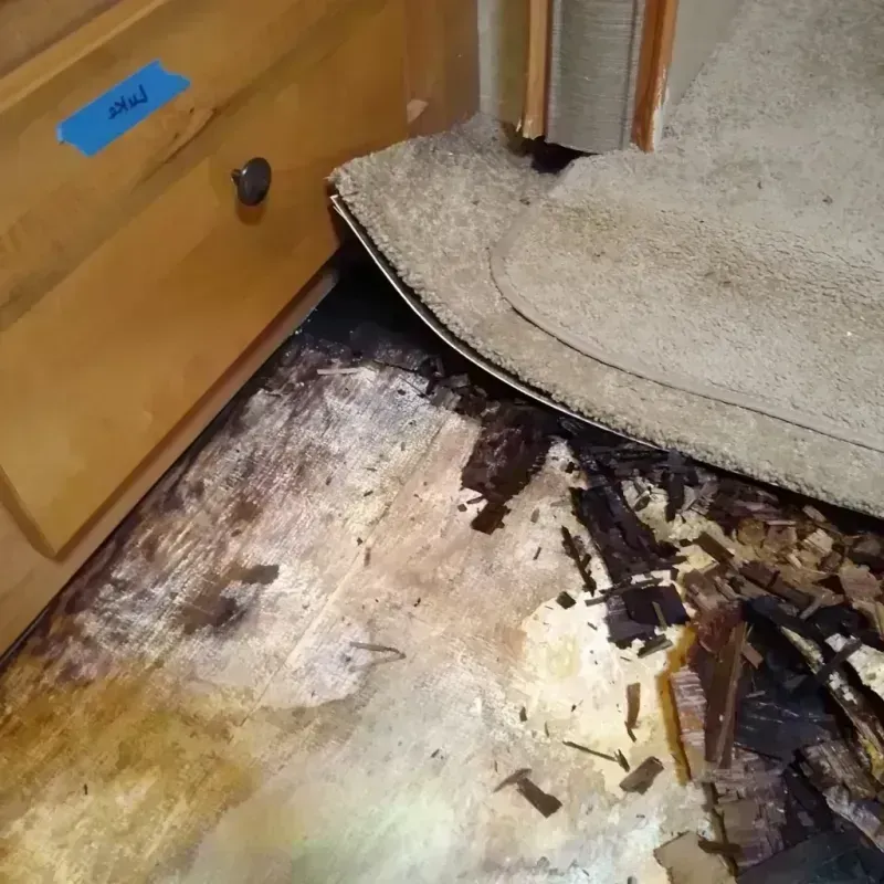 Best Wood Floor Water Damage Service in Sunman, IN